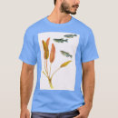 Search for zebrafish Animal