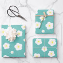 Search for aqua wrapping paper Gradient