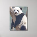 Search for panda canvas prints Zoo
