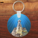 Search for meerkat key rings Suricata