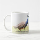 Search for beautiful bird mugs Peacock