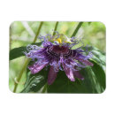 Search for passion magnets Flower