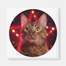 Search for cat breeds magnets Kitty