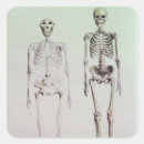 Search for evolution of man stickers English