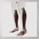 Search for leggings art Human