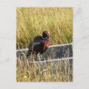 Search for light blue vertical postcards Red