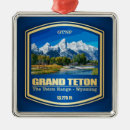 Search for jackson hole christmas tree decorations Snake river