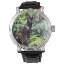 Search for siamese accessories Pet