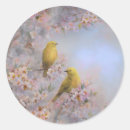 Search for warbler stickers Birds