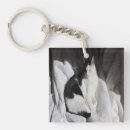 Search for white cats key rings Kitten