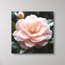 Search for camellia Gold
