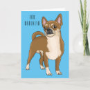 Search for mexican chihuahua cards Dog