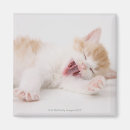 Search for yawning magnets Horizontal