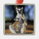 Search for lemur christmas tree decorations Cute