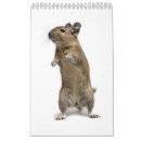 Search for viola office supplies Cute