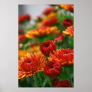 Search for beautiful lion art Flowers