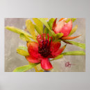 Search for protea posters Flora