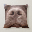 Search for chocolate labrador cushions Animal