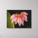 Search for orchid canvas prints Florals