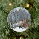 Search for birch trees christmas tree decorations Snow