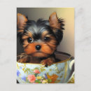 Search for yorky postcards Puppy