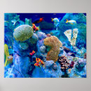 Search for tropical reef posters Tropics