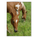 Search for graze photography Colour