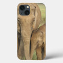 Search for one animal electronics Care