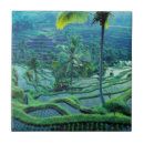 Search for bali tiles Tropical