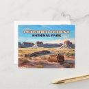 Search for forest postcards Painted desert
