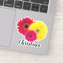 Search for red gerbera electronics Colourful