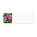 Search for sweet pea return address labels Garden