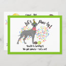 Search for great dane invitations Pet