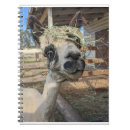Search for alpaca notebooks Funny