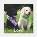 Search for dog breed magnets Canine
