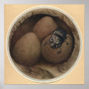 Search for vintage insect posters Beetles