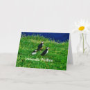 Search for puffin cards Iceland