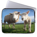 Search for newborn cases Farm
