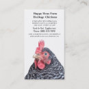 Search for egg rock Hen