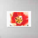 Search for macro flower art Red