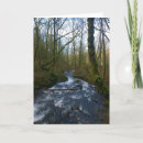 Search for veil cards Waterfall