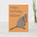 Search for wallabies Australian animals