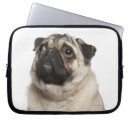Search for full length cases Colour image