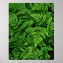 Search for large format posters Background