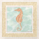 Search for orange coasters Sea life