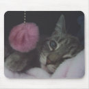Search for siamese mousepads Photography