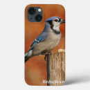 Search for blue jay electronics Bird watcher