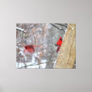 Search for red cardinal bird canvas prints Winter