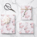 Search for illustration wrapping paper Cute