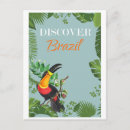 Search for brazil toucan postcards Vintage